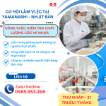 TTS KIỂM TRA SẢN PHẨM CỐC MỲ NHỰA